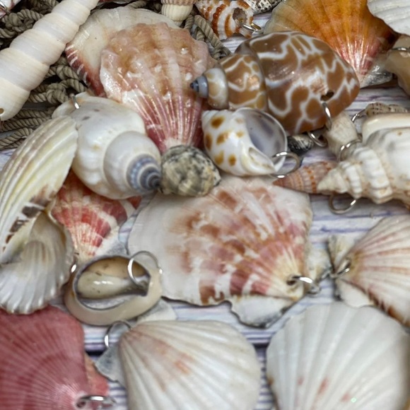 15 REAL SEASHELLS CHARMS PENDANTS w 15 JUMP RINGS FOR CRAFTING & JEWELRY MAKING - Picture 6 of 13